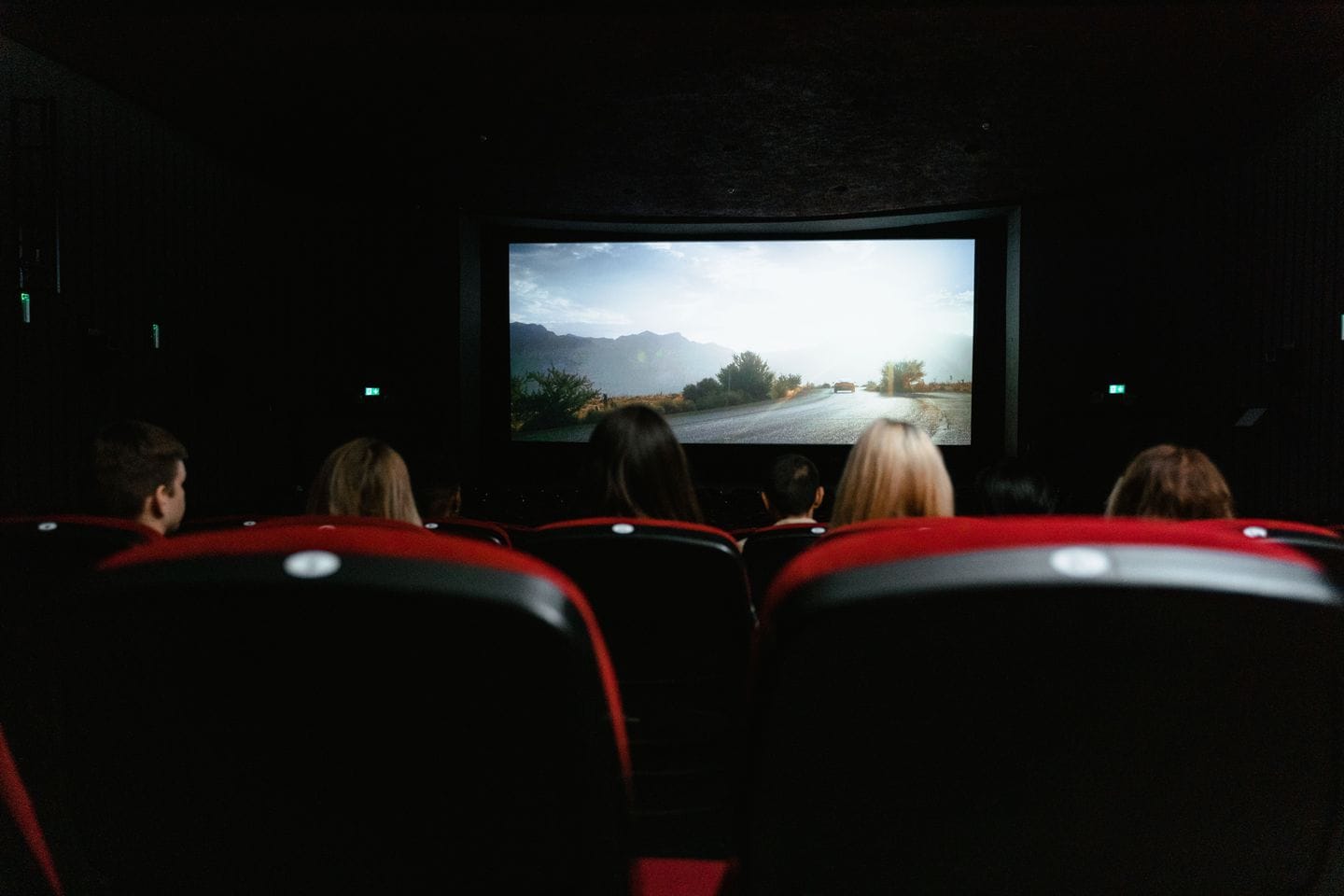 Publikum von hinten in einem dunklen Saal vor einer hell beleuchteten Leinwand